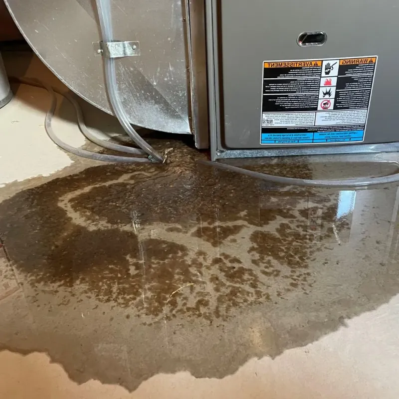 Pipe Burst and Leak Restoration in East Wenatchee Bench, WA